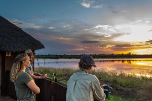 wildlife-media-safari-sunset
